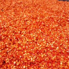 Chili powder