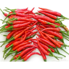 Fresh chili