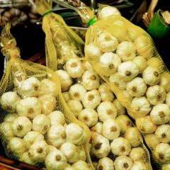 Garlic bunch